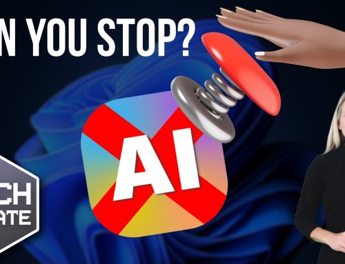 How would you stop AI in an emergency?